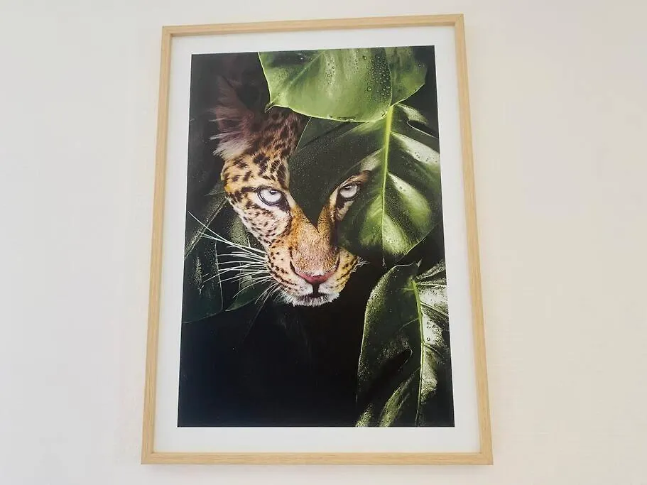 Appartement Le Wild, Superbe Studio Au Bord De La Vilaine Rennes